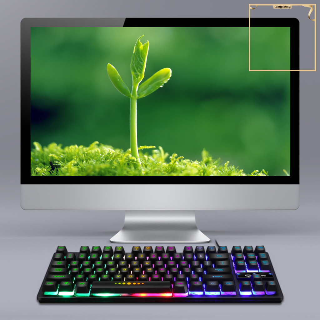 Bàn Phím Cơ Gaming 87 Phím Đèn Led Ts_Gk-10 Cho Laptop / Pc