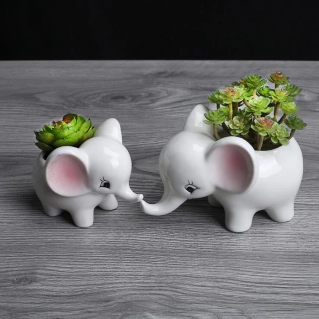 Chậu Trồng Sen Đá Xương Rồng Hình Voi Sứ Cao Cấp Có Lỗ Thoát Nước Cực Xinh