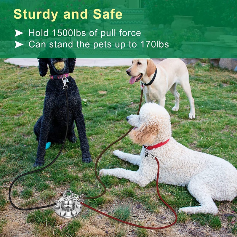 Seng Dây Buộc Thú Cưng Đi Dạo Và Cọc 360 Độ°Mỏ Neo Dạng Xoay Phù Hợp Với Mọi Loại Breeds