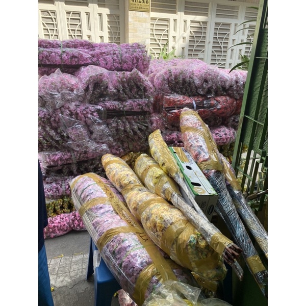 Bán sỉ cành hoa đào, hoa mai giả dài 1m đủ màu