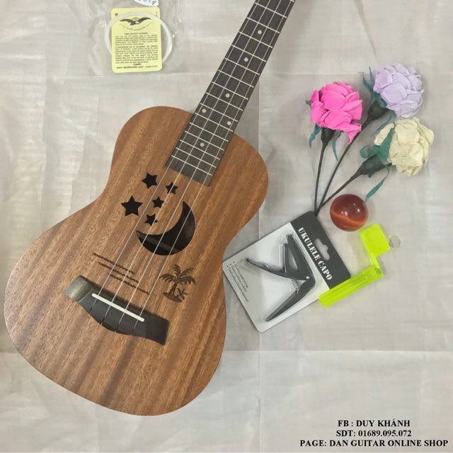 ĐÀN UKULELE CONCERT SUMMER