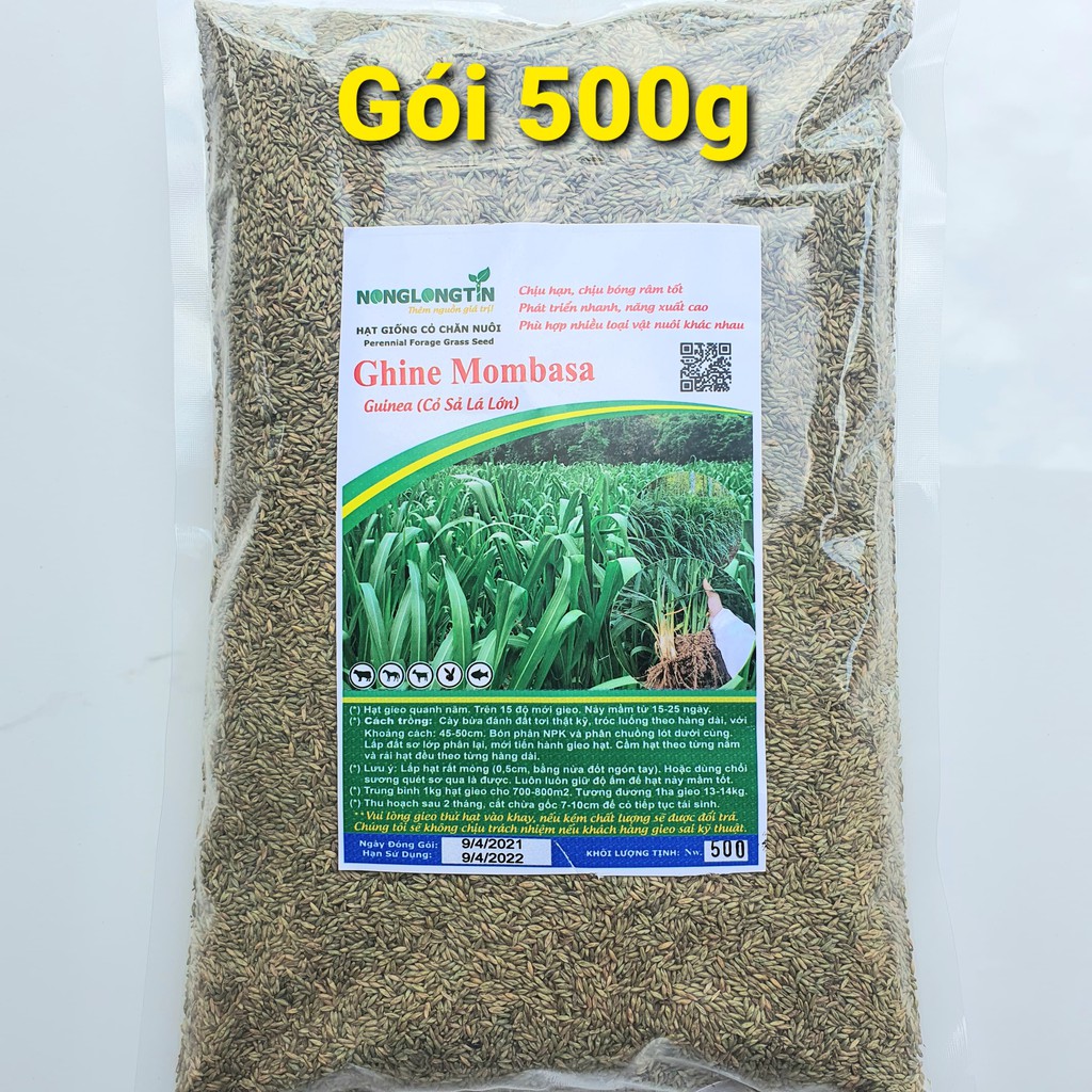 Hạt Giống Cỏ Ghine Momabsa  Cỏ Sả Lá Lớn. Giống Cỏ Chăn Nuôi Nhiều Người Ưa Chuộng