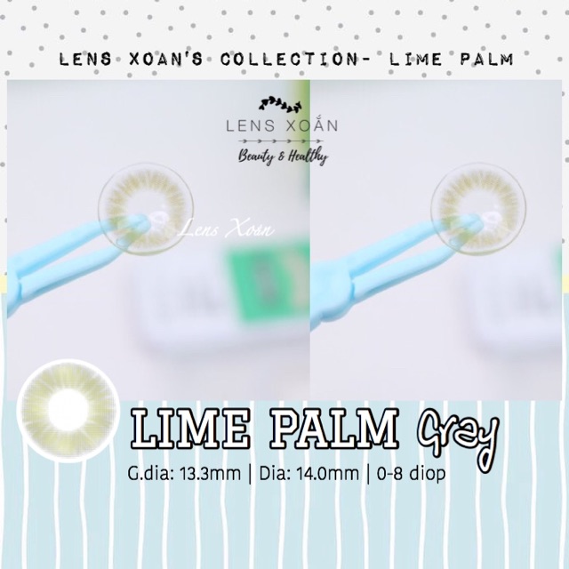 ÁP TRÒNG LIME PALM GRAY ( LENS TOWN ) | LENS XOẮN