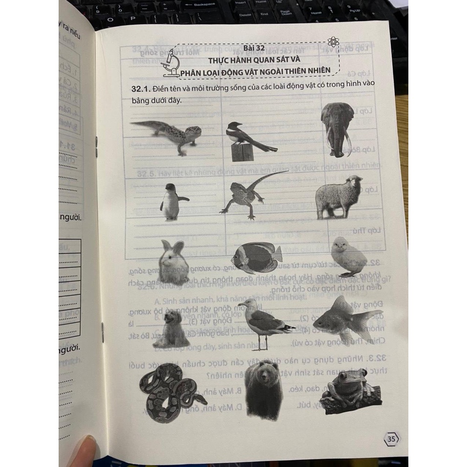 Sách - Vở thực hành khoa học tự nhiên 6 tập 2 ( Chân trời sáng tạo )