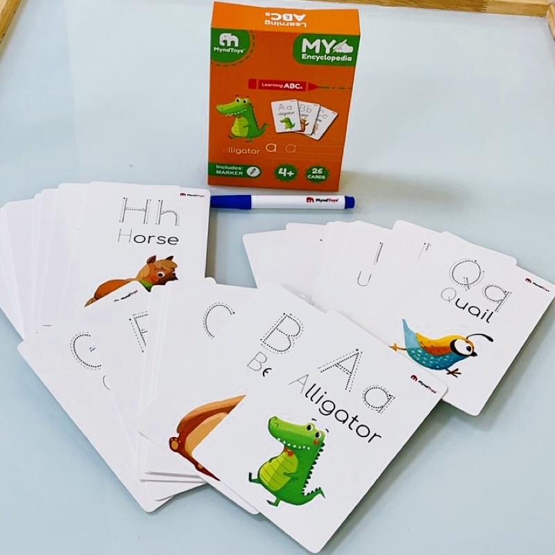Đồ Chơi Giáo Dục MyndToys My Encyclopedia – Thẻ Học Chữ Cái và Số Dành Cho Bé Trên 4 Tuổi