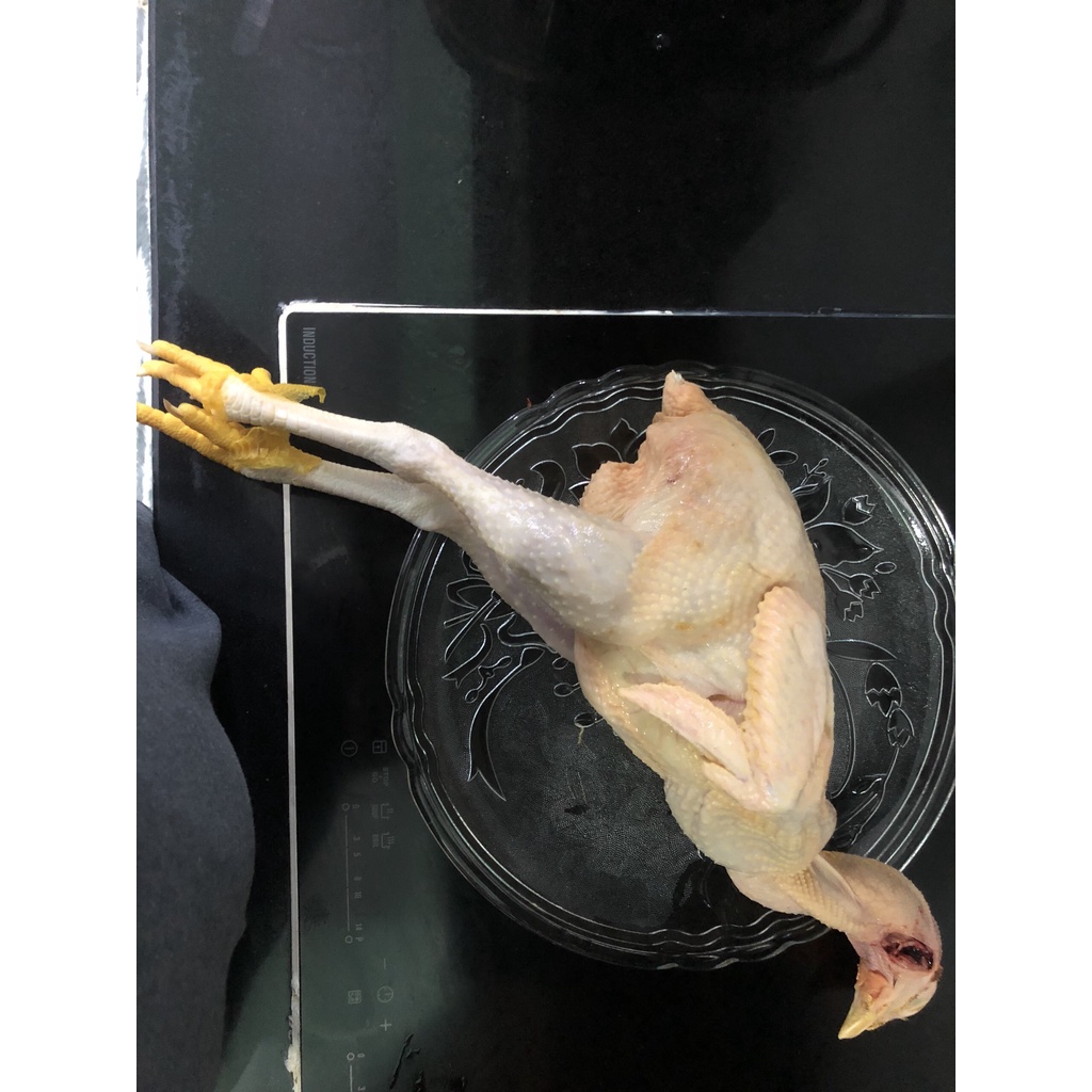 Gà ta mái dầu nguyên con 1kg5 - 1kg8