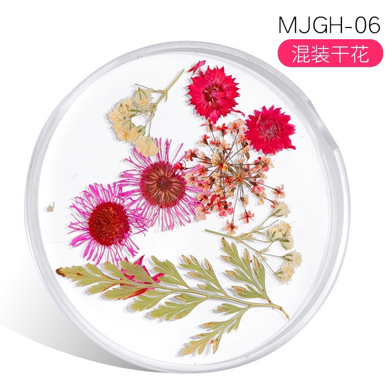 [HANGKIU] HOA KHÔ ẨN GEL SIÊU ĐÁNG YÊU