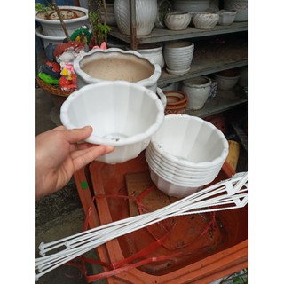 Chậu treo bí trắng kèm quai rộng 22cm x15cm