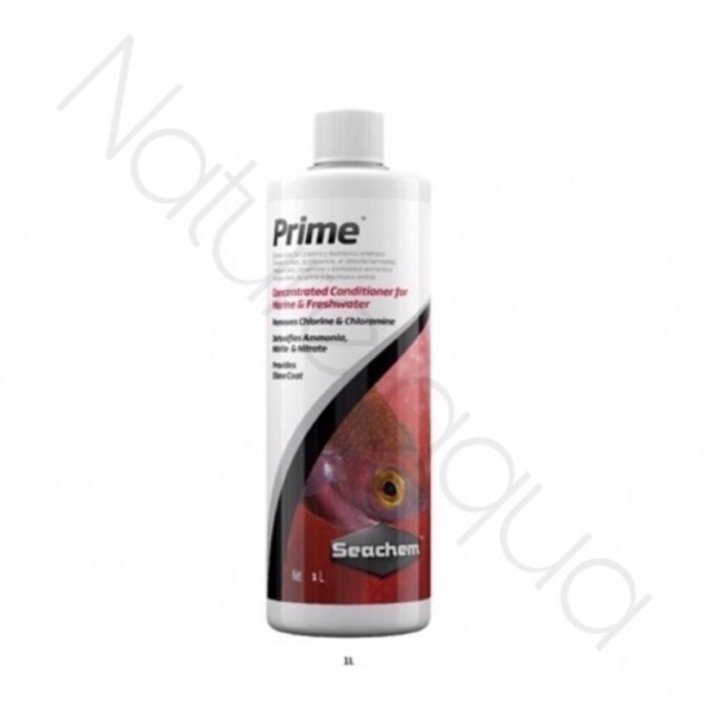 Khử Clo Prime 1 lít