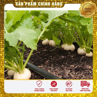 Hạt Giống Củ Cải Trắng(20gr)