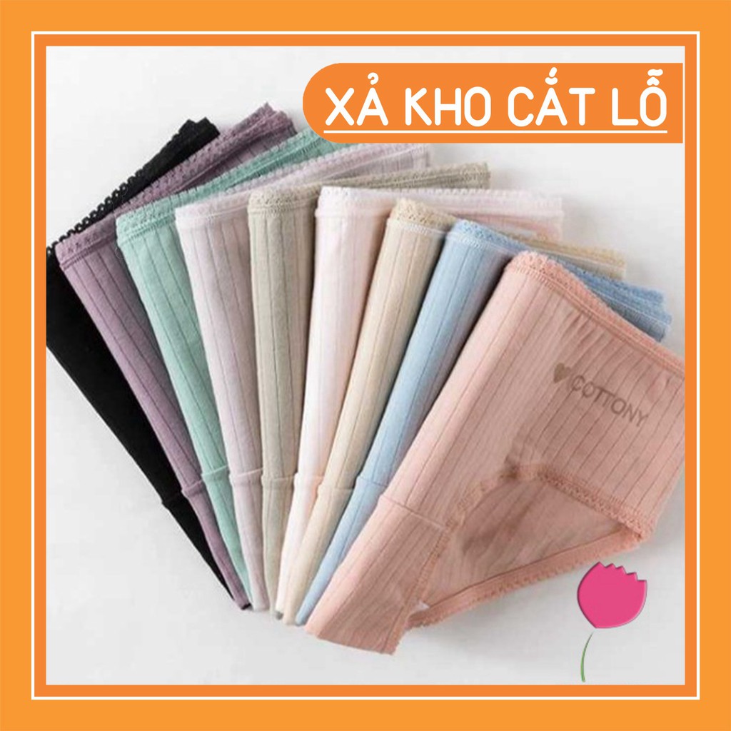 Quần Lót Nữ Cotton Gân Tăm-Quần Chíp Nữ Kháng Khuẩn Dễ Thương Mềm Mịn Cottony _ Quần Chip Giá rẻ