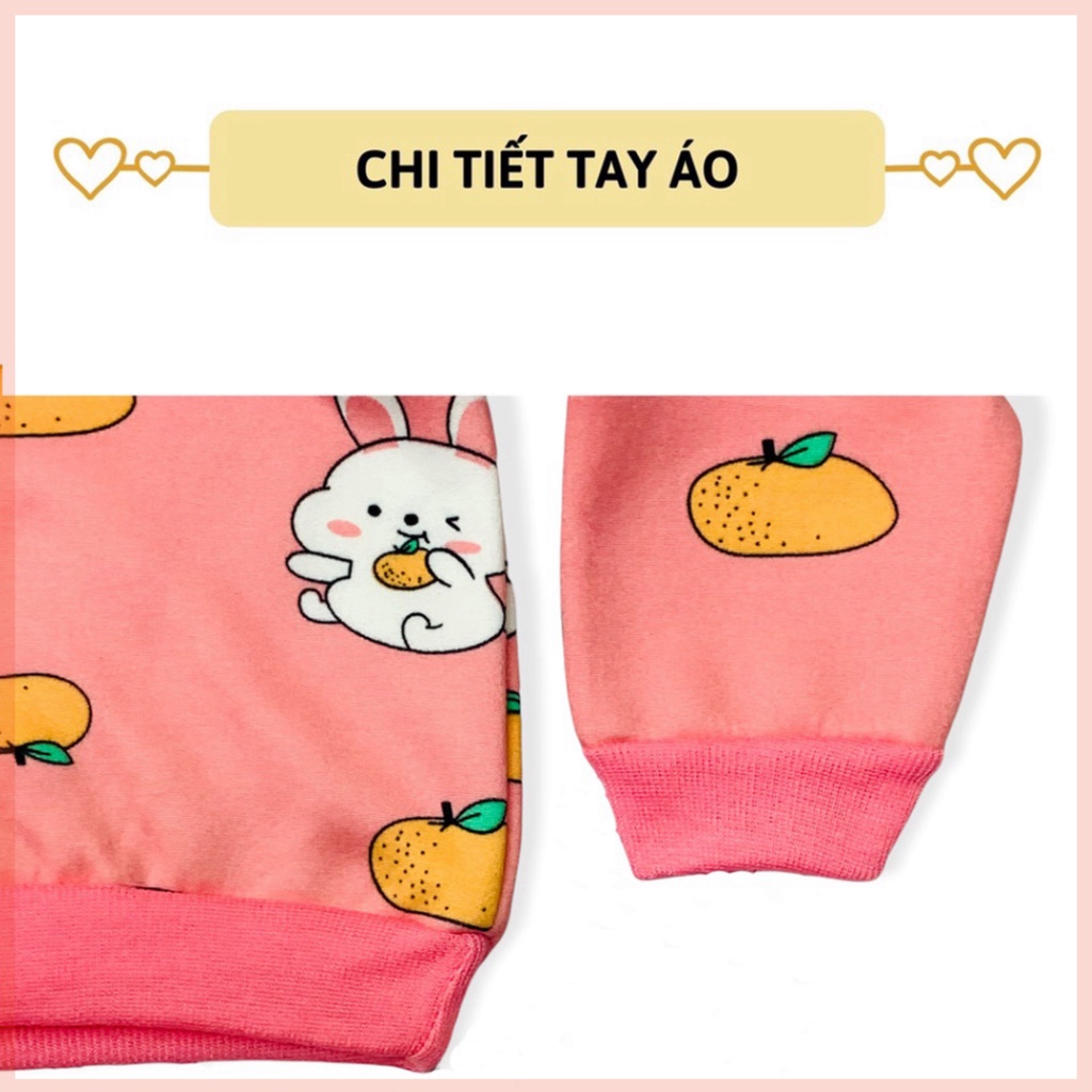 bộ nỉ cho bé trai bé gái bộ nỉ bông cho bé mềm mịn họa tiết LILIKIDS BDT06