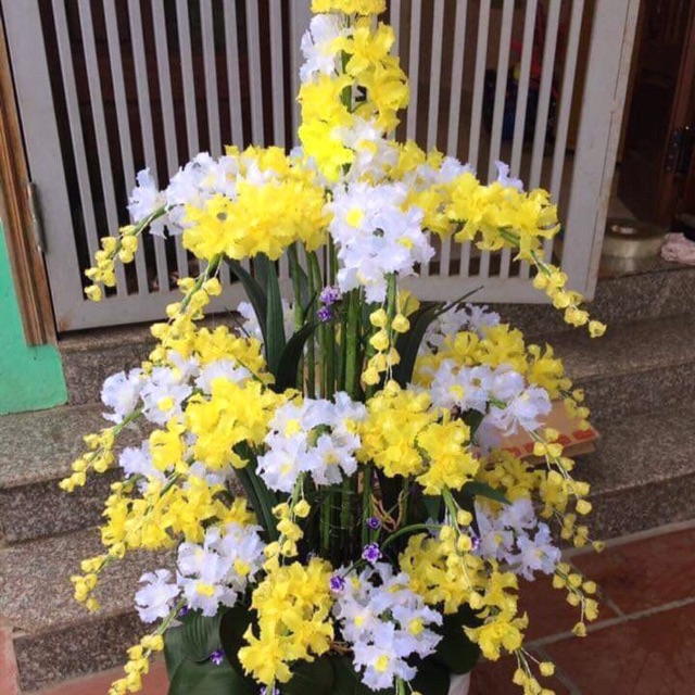 Sét bộ nguyên liệu pha Lê