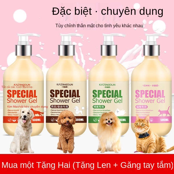 con chó cưng sữa tắm tiệt trùng khử mùi dài ở lại dầu gội đầu Teddy Bath chất lỏng