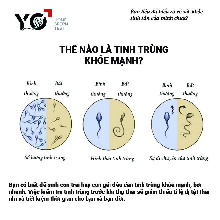 Bộ Xét Nghiệm Tinh Trùng Tại Nhà Yo Sperm Test - Phiên bản 2.0 - Chính xác, Nhanh chóng, Hiệu quả