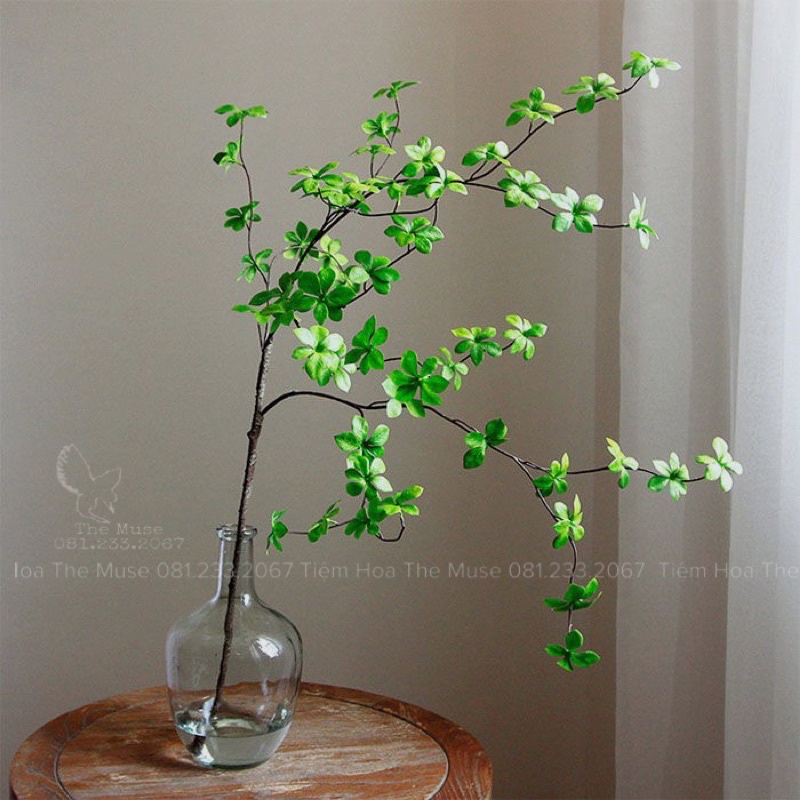 Bình Thuỷ Tinh Decor - Nhất Chi Mai - Phong Cách Wabi Sabi Đơn Giản Mộc Mạc