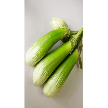 Phân bón lá Điền Trang FEED-DT02 kích thích ra hoa siêu lân tạo mầm 100gr