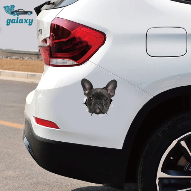 Galaxy Decal Dán Trang Trí Xe Hơi Họa Tiết Hoạt Hình Vui Nhộn