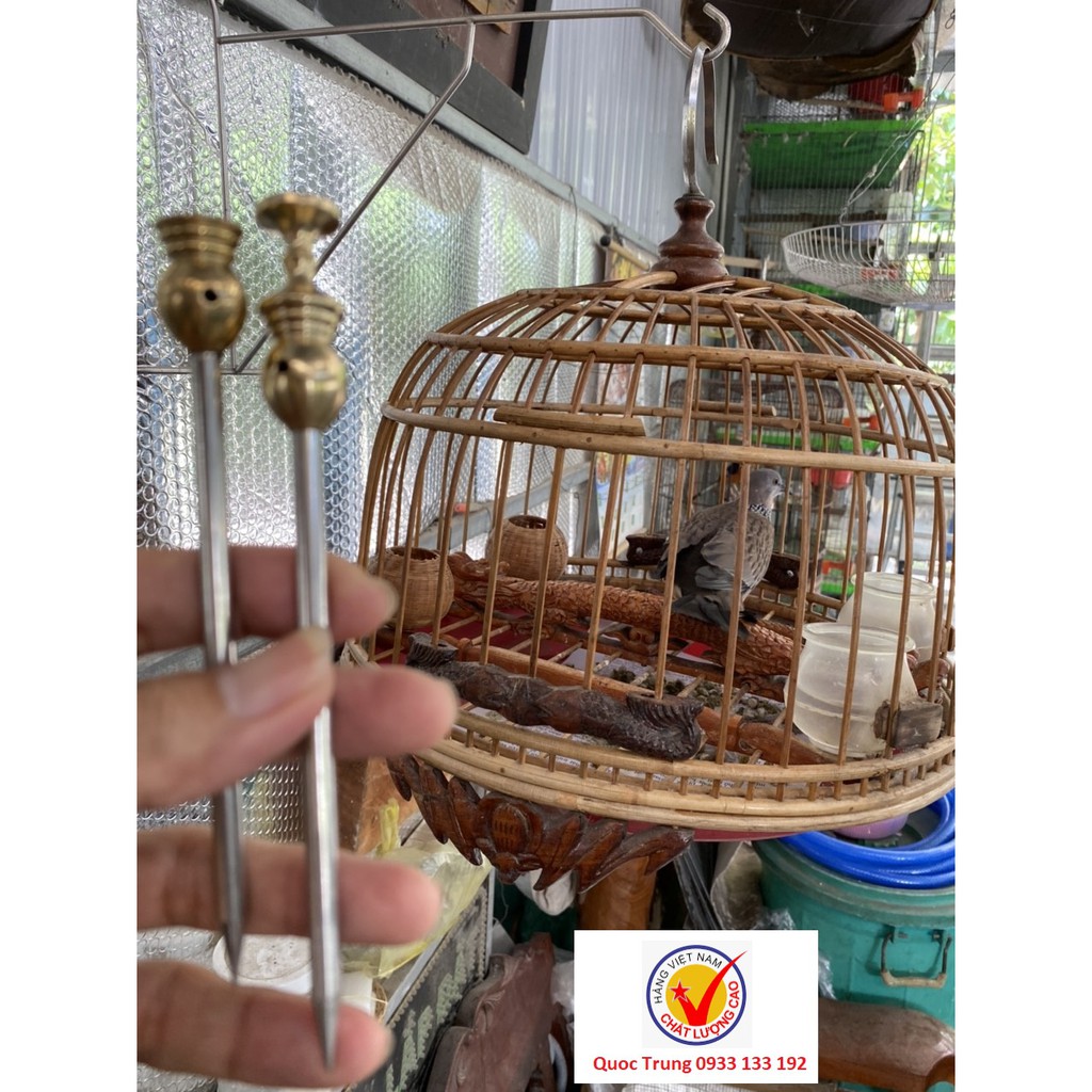 Dây xích chân chim cu gáy nuôi lồng trần