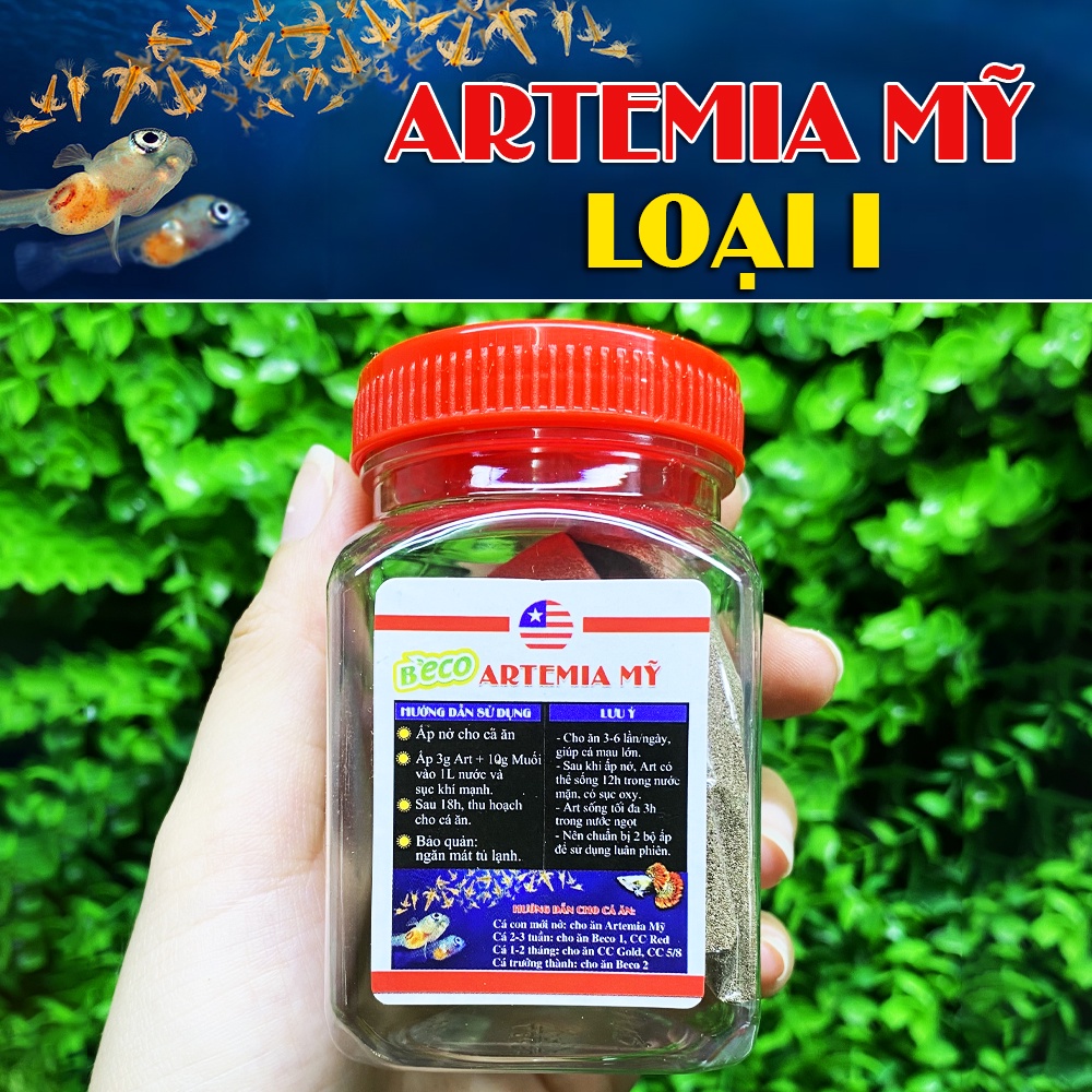 Artemia BECO Mỹ Loại 1 - Thức ăn cho cá con mới nở