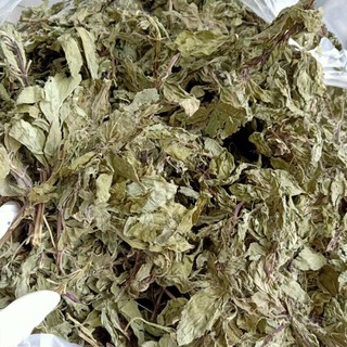 Bạc Hà Sấy Lạnh 1kg (Khô, thơm, lá bạc hà xông hơi giải cảm)