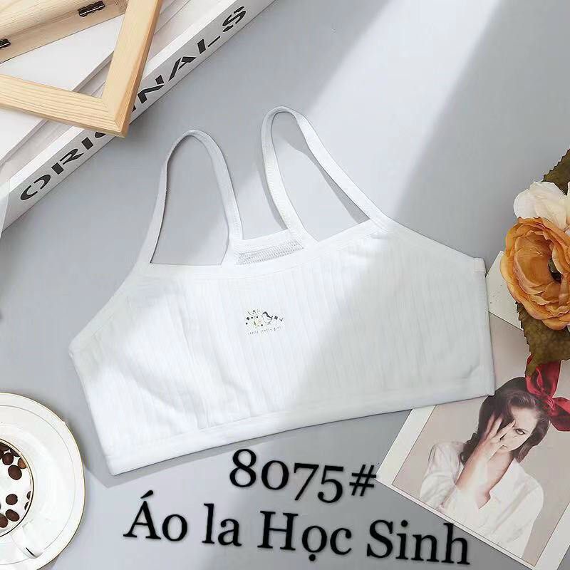 Áo lót lá học sinh cao cấp, hàng loại 1, phối lưới thoáng mát giành cho bé gái mới lớn