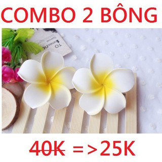 [SỐ LƯỢNG CÓ HẠN]_COMBO 2 HOA CÀI TÓC ĐI BIỂN