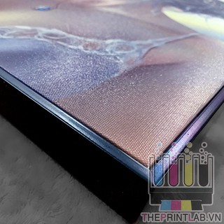 [IN THEO YÊU CẦU 20x30cm] TRANH CANVAS KHUNG COMPOSITE size XS