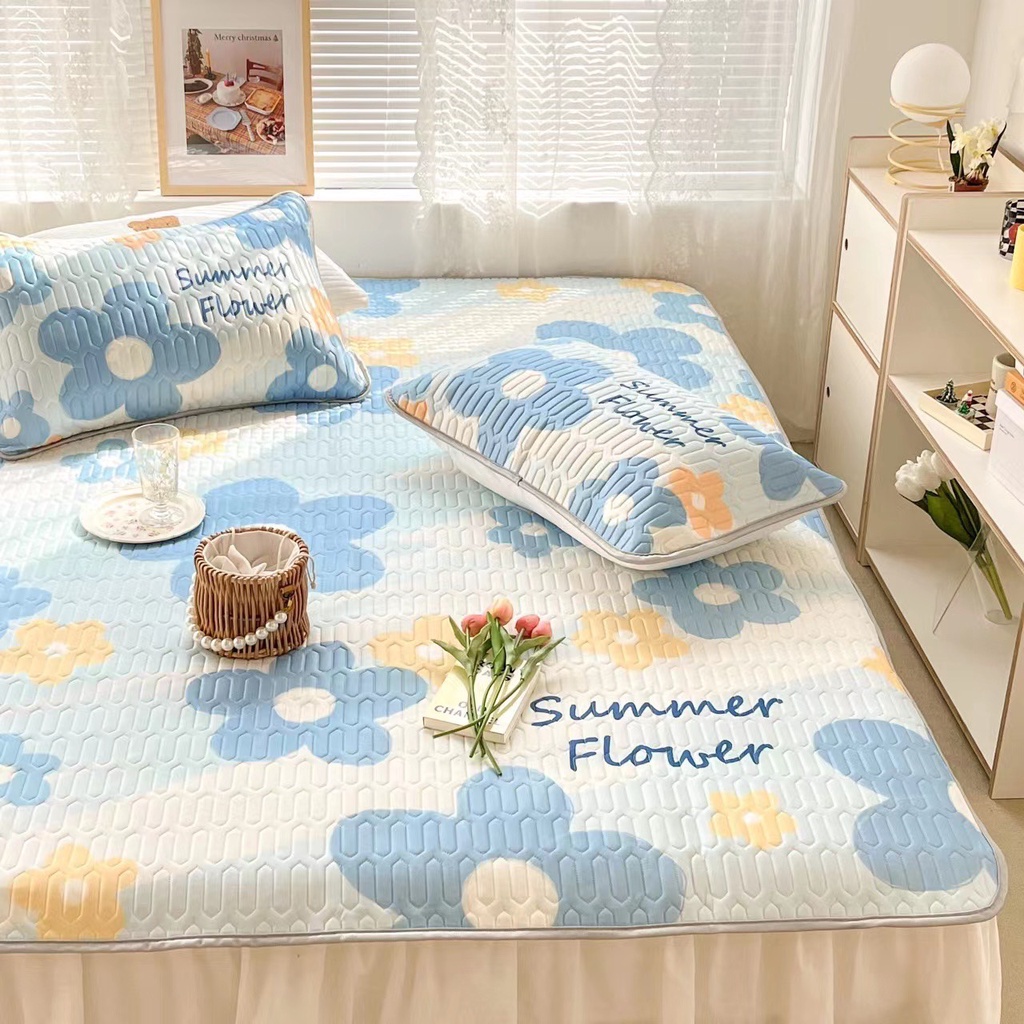 Chiếu điều hoà cao su non 5D nhập khẩu cao cấp, chiếu cao su tencel mát lạnh nhập khẩu giá rẻ (tặng kèm 2 vỏ gối đầu)