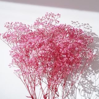 Hoa baby khô- hoa baby breath nhập khẩu cao cấp