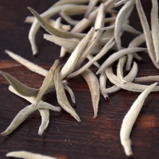 BẠCH TRÀ #bachtra