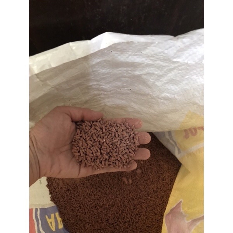 5 kg cám 1912 cho lợn con chó con