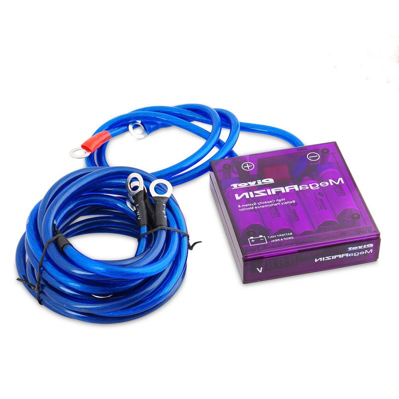 Bộ ổn định điện áp Mega RAIZIN đa năng với 5 dây nối đất và màn hình LED | BigBuy360 - bigbuy360.vn