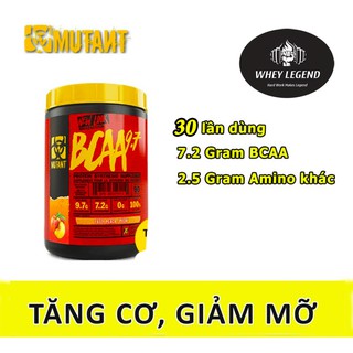 HỖ TRỢ PHÁT TRIỂN TỐI ĐA CƠ BẮP - MUTANT BCAA 9.7 – 1044g (30 lần dùng)