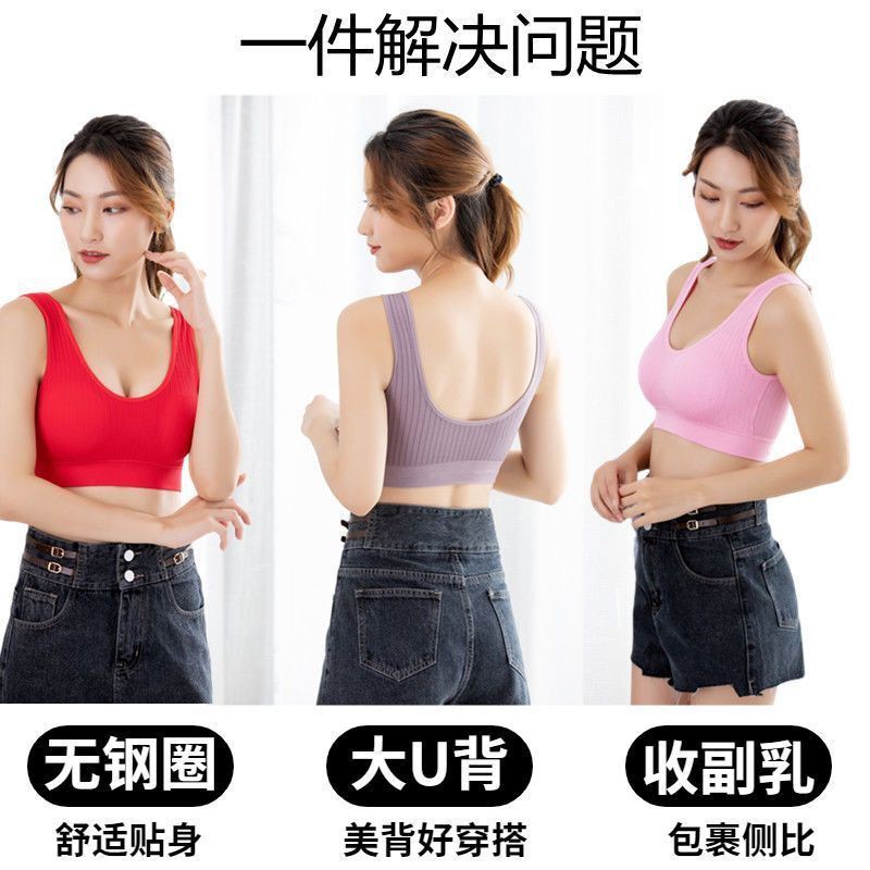 Áo Lót Thể Thao Không Đường May Chất Liệu Cotton Có Size Lớn Dành Cho Nữ