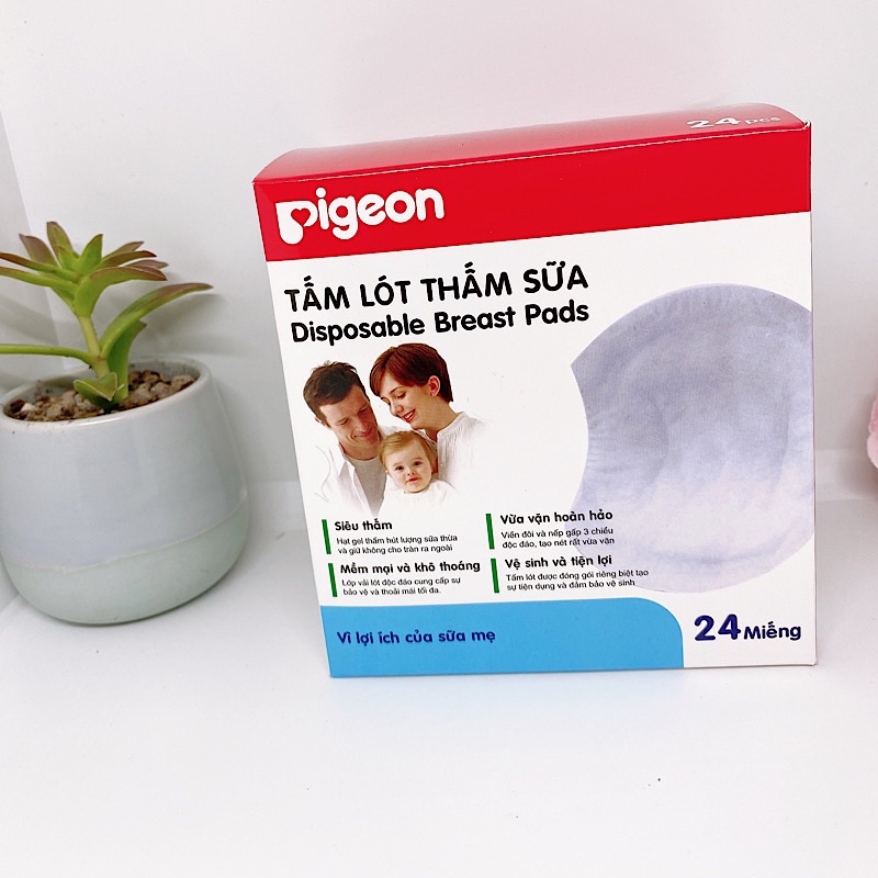 Lót Thấm Sữa Pigeon 24 MIếng