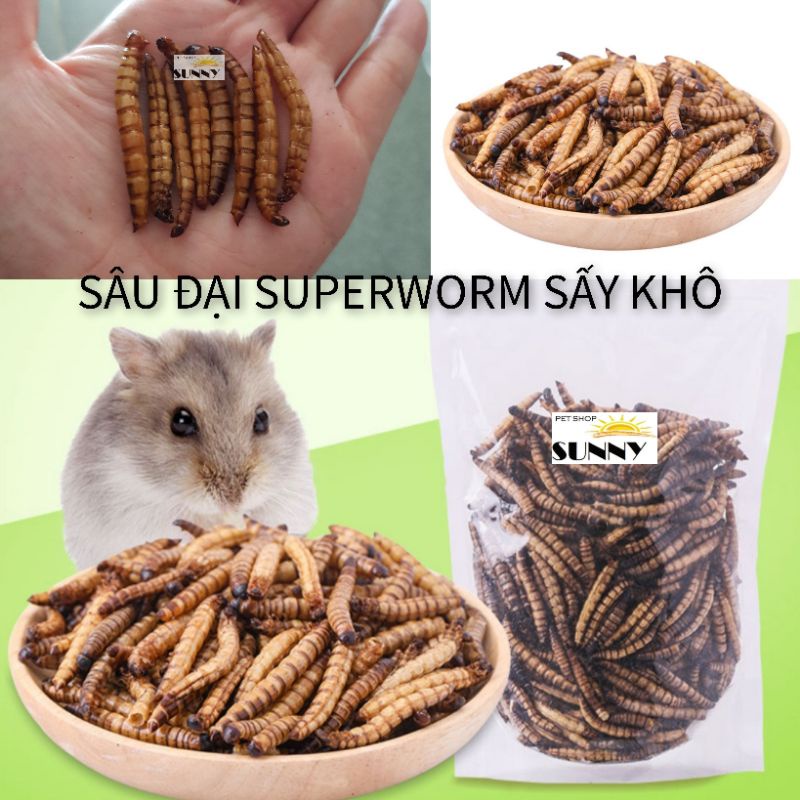 Sâu đại Superworm sấy cho hamster, thú cưng