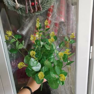 CDCLT16- Cành Lá táo 16 nhánh loại đẹp