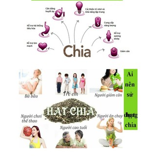 Hạt Chia ÚC BLACK BAG CHIA 500g