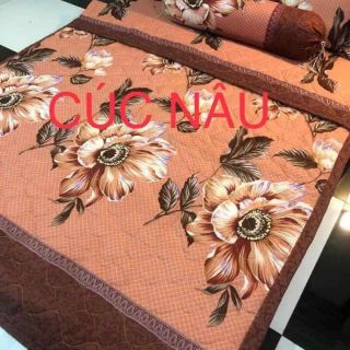 Sét ga cúc nâu