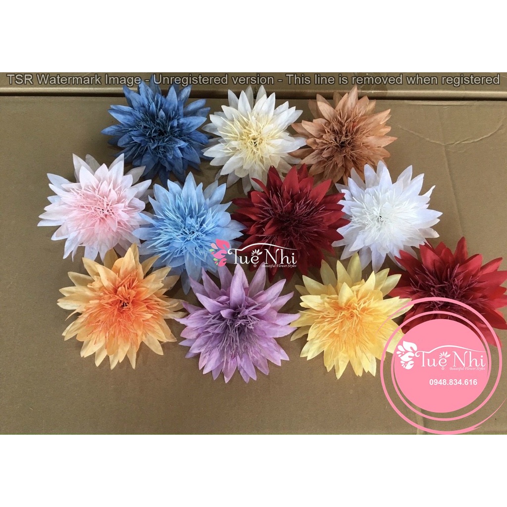 Hoa Giả, Hoa Lụa - Combo 10 Đầu Bông Hoa Cúc Râu , Đường Kính 12cm, Hàng Đẹp Trang Trí Sự Kiện, Giỏ Quà Tết.