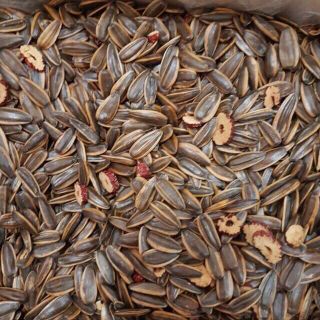 1kg hướng dương tẩm gia vị Óc Chó nội địa
