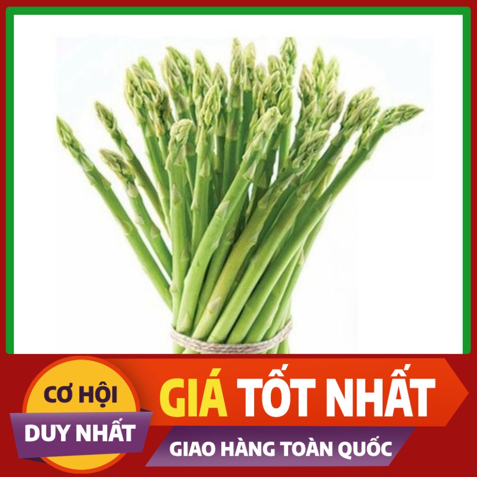 Hạt giống Măng Tây