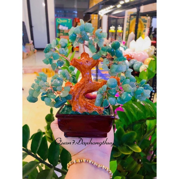 Vụn Đá Cây Tài Lộc Tự Nhiên Phong Thuỷ