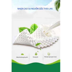 Gối Cao Su Non VenTry cao cấp hàng chuẩn Thái Lan 🍀 Chống đau mỏi vai gáy 🍀 2 size M- L