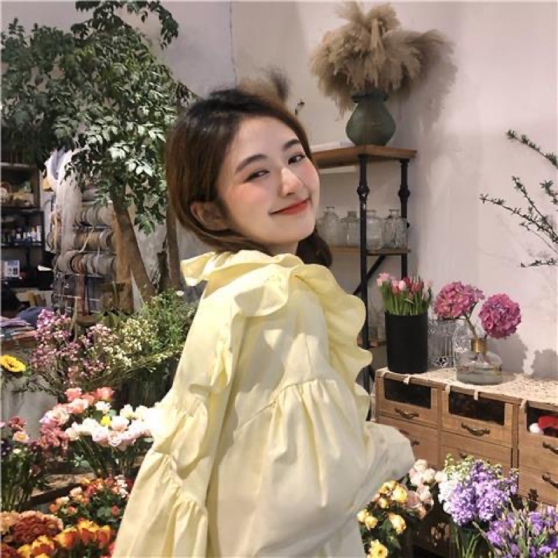 Freeship - Áo sơ mi bánh bèo cổ tiểu thư
