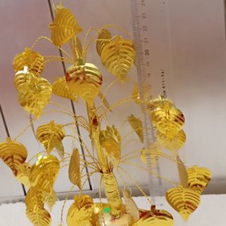 Cành vàng lá ngọc mini cao khoảng 25cm ib chọn mẫu