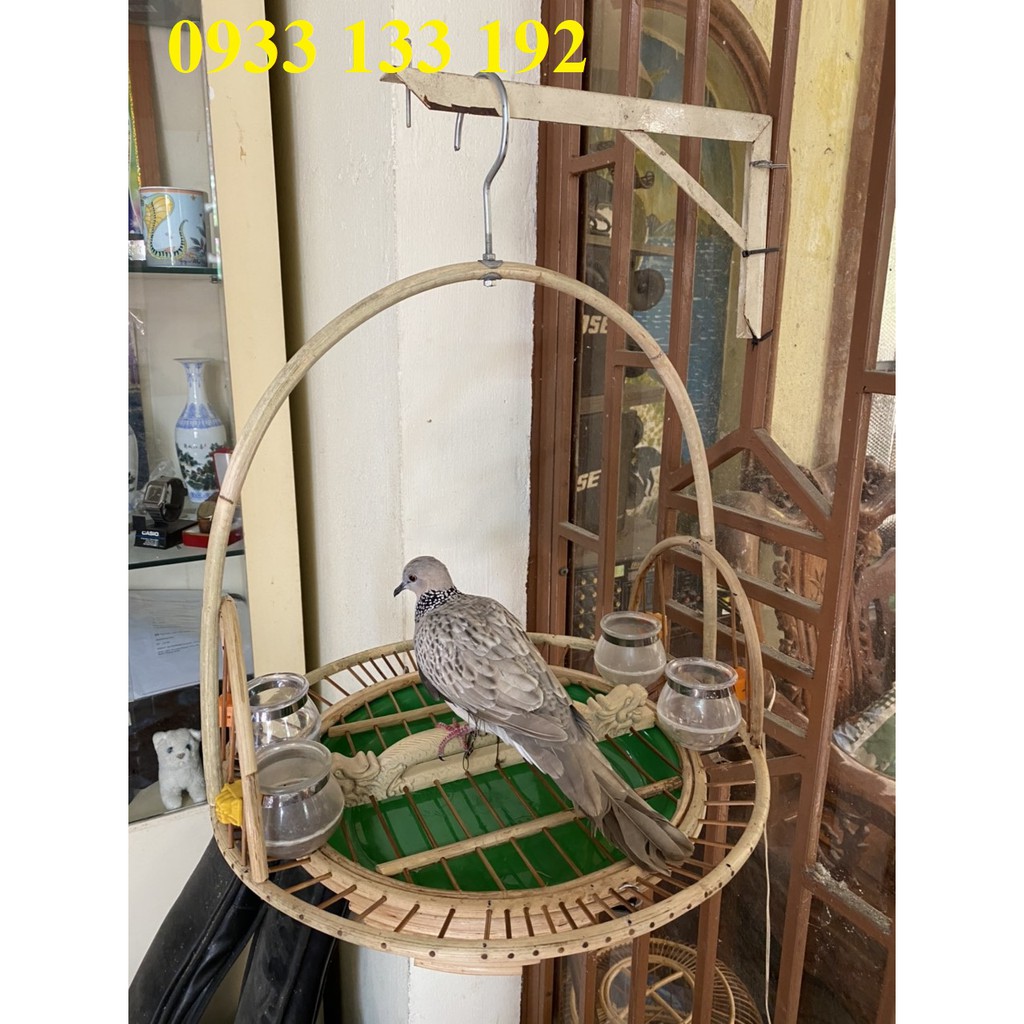 Lồng trần cu gáy