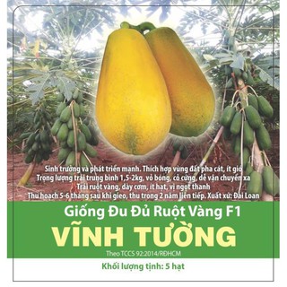 Hạt giống đu đủ ruột vàng f1 vĩnh tường gói 5 hạt