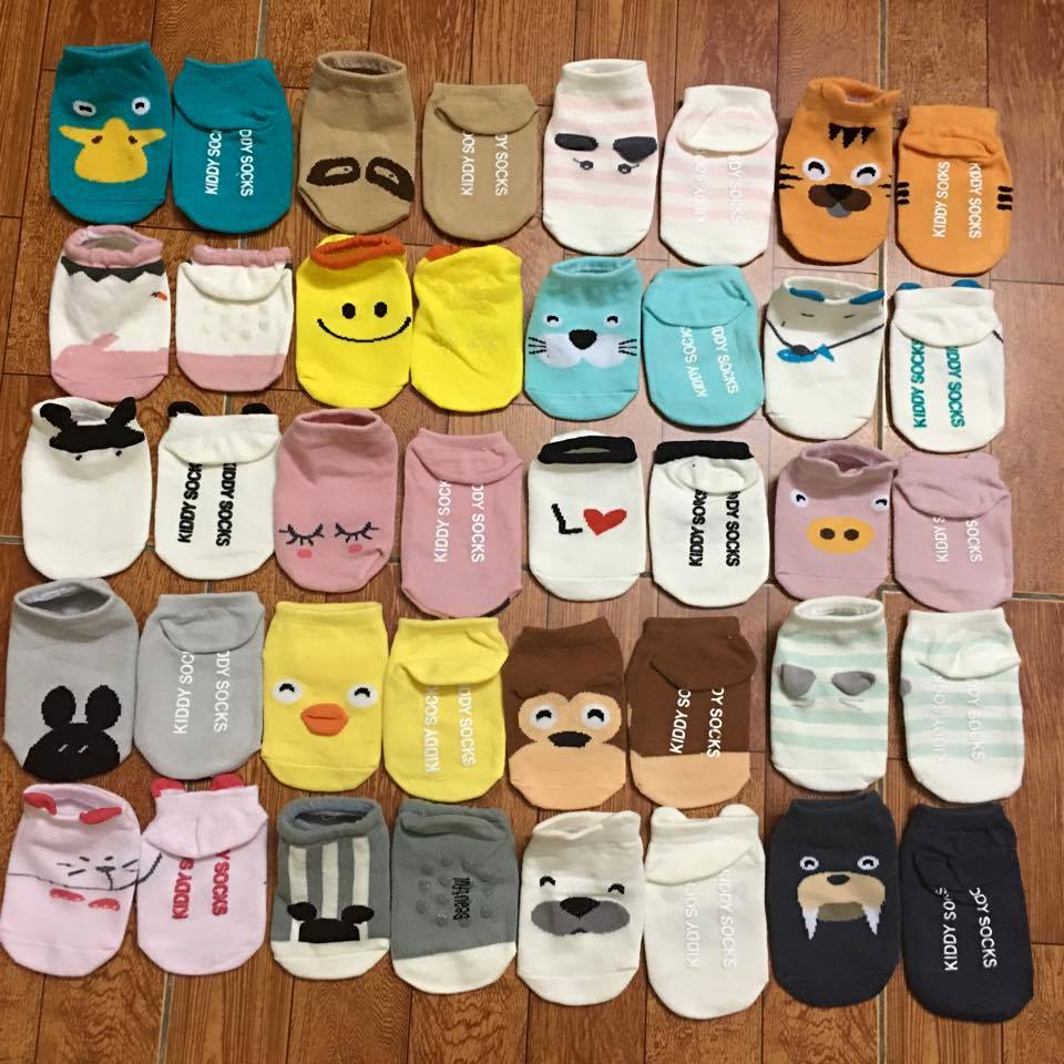 SALE SỐC Tất cotton thấm hút mồ hôi mix màu